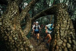 BIB: 
                            <button type="button" onclick="openModal(25668611)" class="btn btn-primary btn-sm float-right btn-popup" data-toggle="modal" data-target=".modal-high-quality">
                        <i class="fas fa-shopping-cart"></i> Add to Cart
                    </button>
                                            <button type="button" onclick="isThisMe(25668611, true)" class="btn btn-success btn-sm float-right btn-popup btn-isme hidden" data-toggle="tooltip" data-placement="bottom" title="นี่คือรูปของคุณใช่ไหม คลิกที่นี่เพื่อเอาเข้าอัลบั้ม">
                        <i class="fas fa-plus"></i> Add to album
                    </button>
                    <button type="button" onclick="isThisMe(25668611, false)" class="btn btn-warning btn-sm float-right btn-popup btn-isnotme hidden">
                        <i class="fas fa-ban"></i> Remove from album
                    </button>